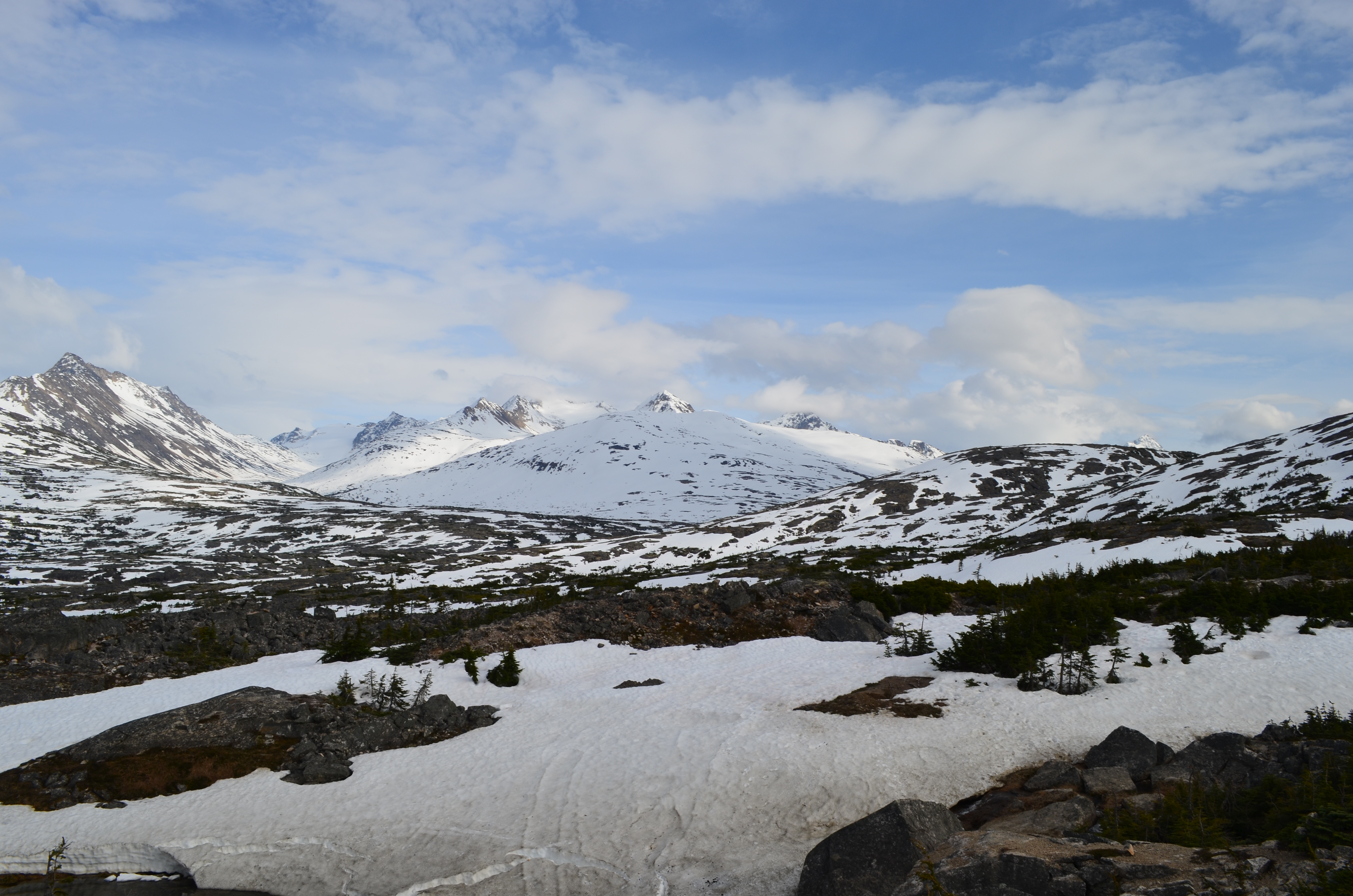 ./2017/08 - Alaska Cruise/09 - Skagway/DSC_0119.JPG